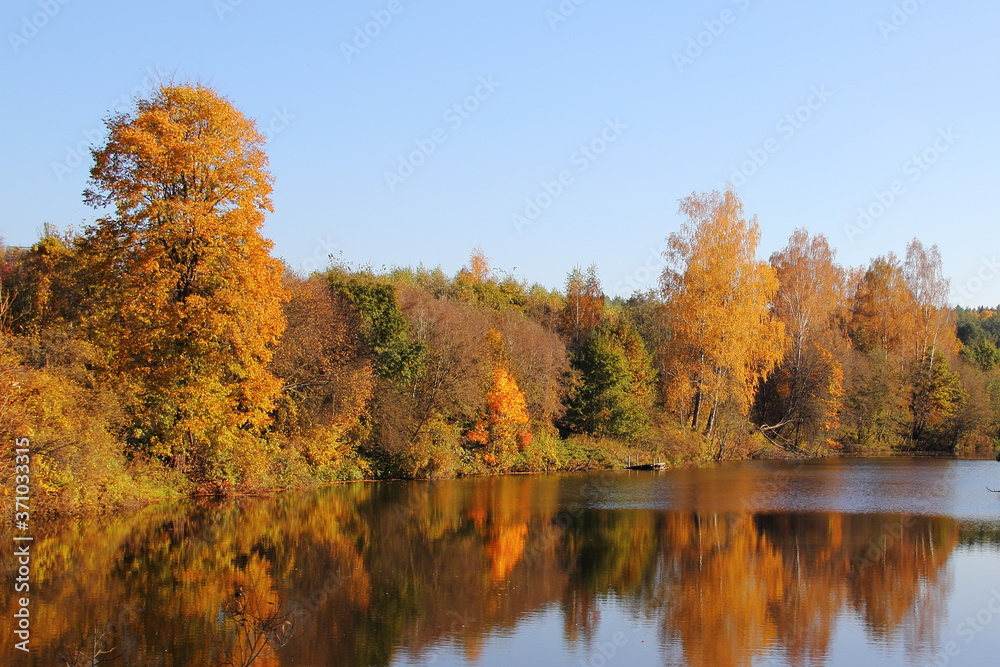 Picturesque orange yellow trees on the shore of forest lake calm water with  on Sunny October autumn day, European Russia beautiful landscape