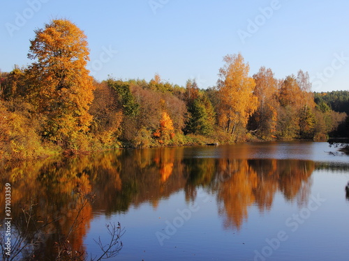 Picturesque forest lake calm water with orange yellow trees on the shore on Sunny October autumn day, European Russia beautiful landscape
