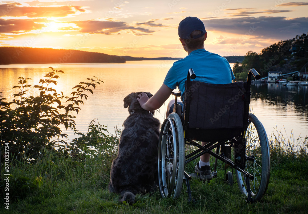 Boy in wheelchair at sunset - obrazy, fototapety, plakaty 