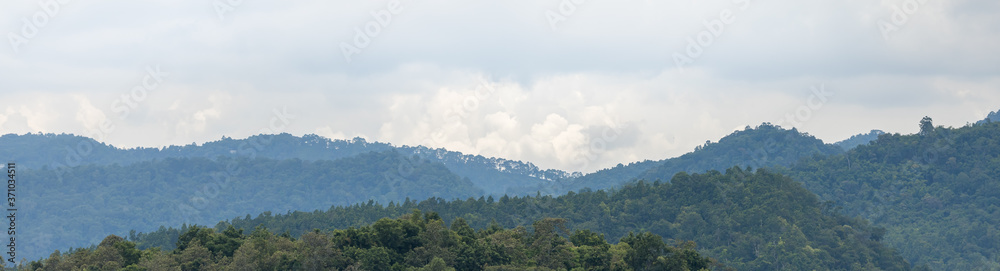 Nature panorama view of tree and green forest with sky and cloud with copy space using as background natural green plants landscape, ecology, fresh cover page concept.