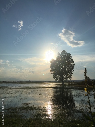 Beautiful lake view 
