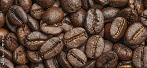 coffee beans in the detail close up