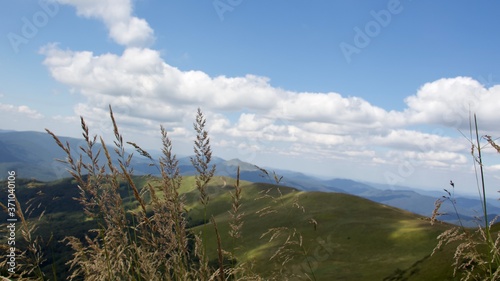 Widok przez trawę na Połoninę Caryńską od strony Szerokiego Wierchu © Sebastian