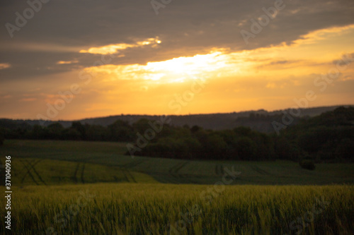 Sonnenuntergang in den Feldern © herzträumerin