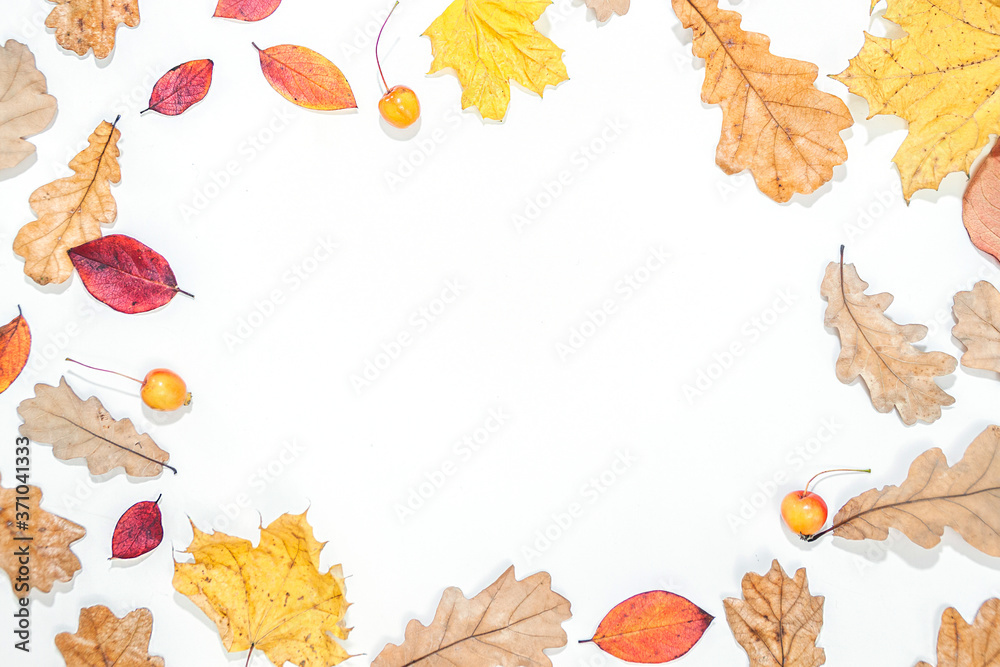 Frame made of autumn leaves, acorn, pine cones on white background.