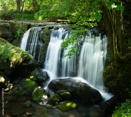 Whatcom Falls 