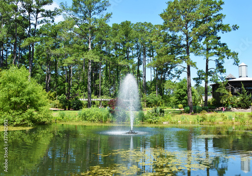 Cape Fear Botanical Garden, Fayetteville, North Carolina, USA