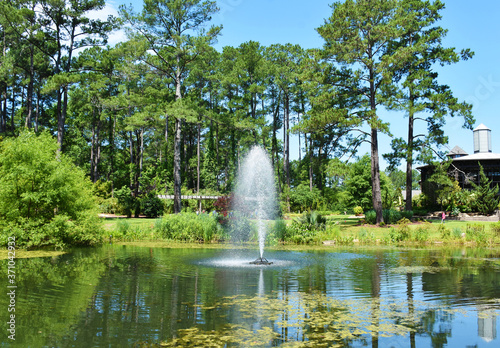 Fototapeta Naklejka Na Ścianę i Meble -  Cape Fear Botanical Garden, Fayetteville, North Carolina, USA