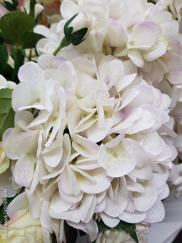 bouquet of white roses © larisikstefania