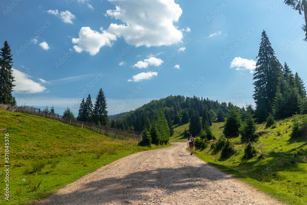 Fototapeta premium mountain road in the mountains