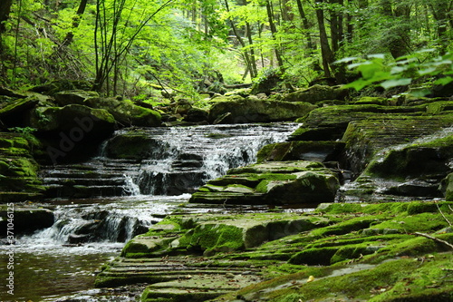 waterfall in the forest