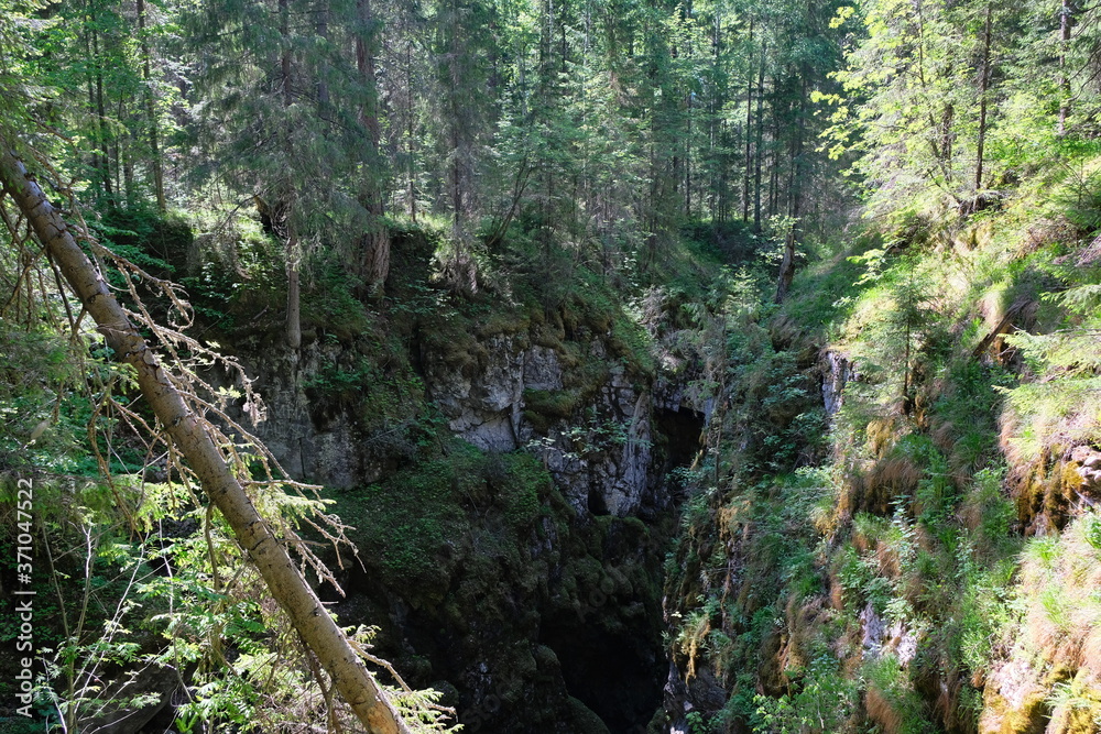 large karst hole in the forest large karst hole in the forest