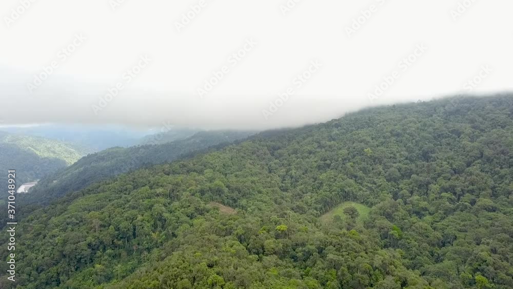 aerial view with drone over green trees and approaching next to a dense fog aerial view with drone over green trees and approaching next to a dense fog