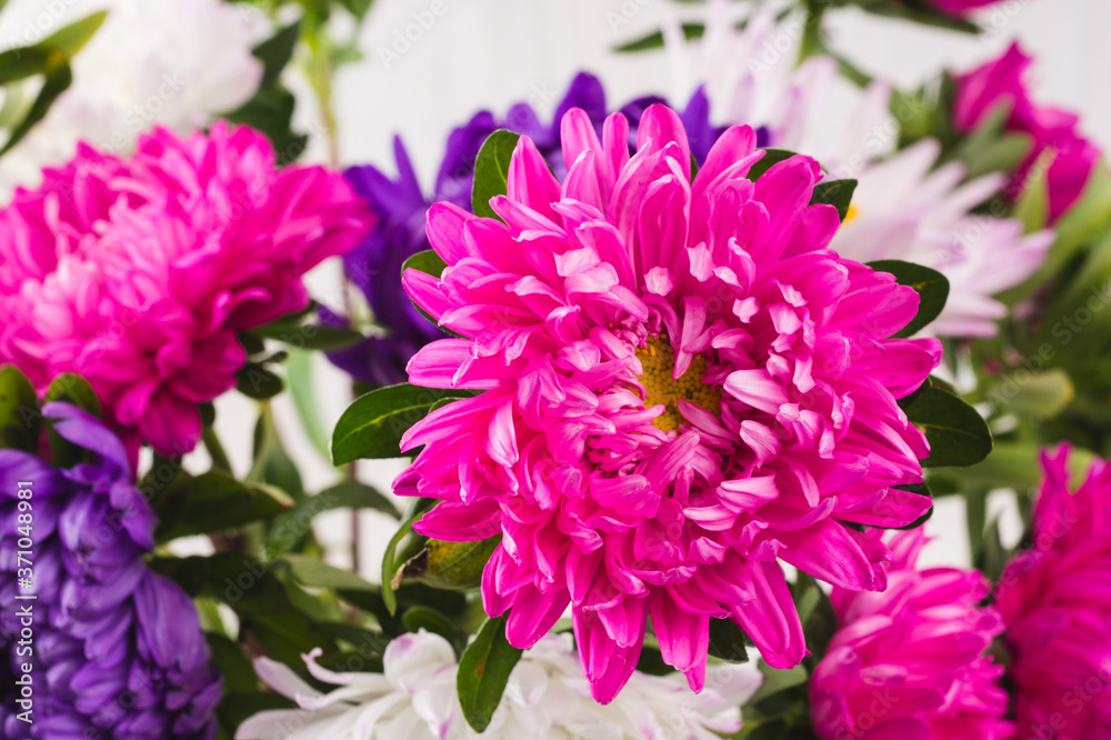 bouquet of chrysanthemums on white background. still life of colorful autumn flowers. flowers close up