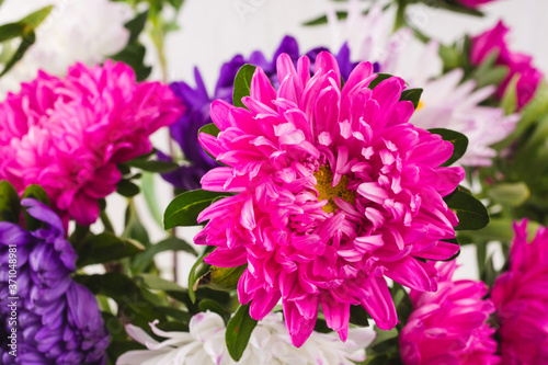 bouquet of chrysanthemums on white background. still life of colorful autumn flowers. flowers close up