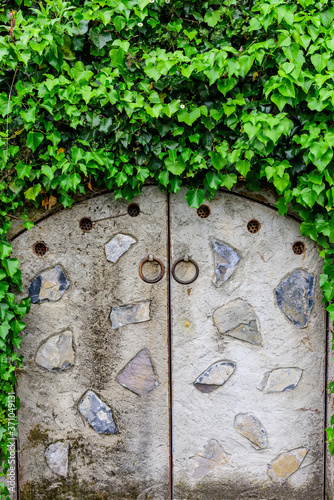 Stone doors in ivy-covered wall