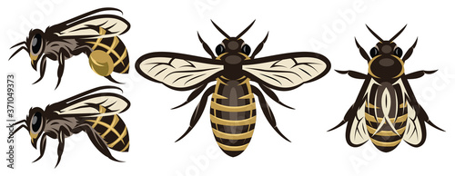 Set of different bees. Design elements. Colored vector illustration