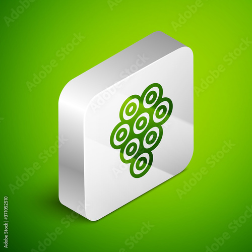 Isometric line Caviar icon isolated on green background. Silver square button. Vector..