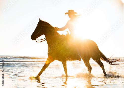Horse on beach