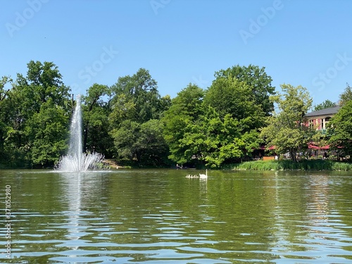 Beautiful lake in Dresden