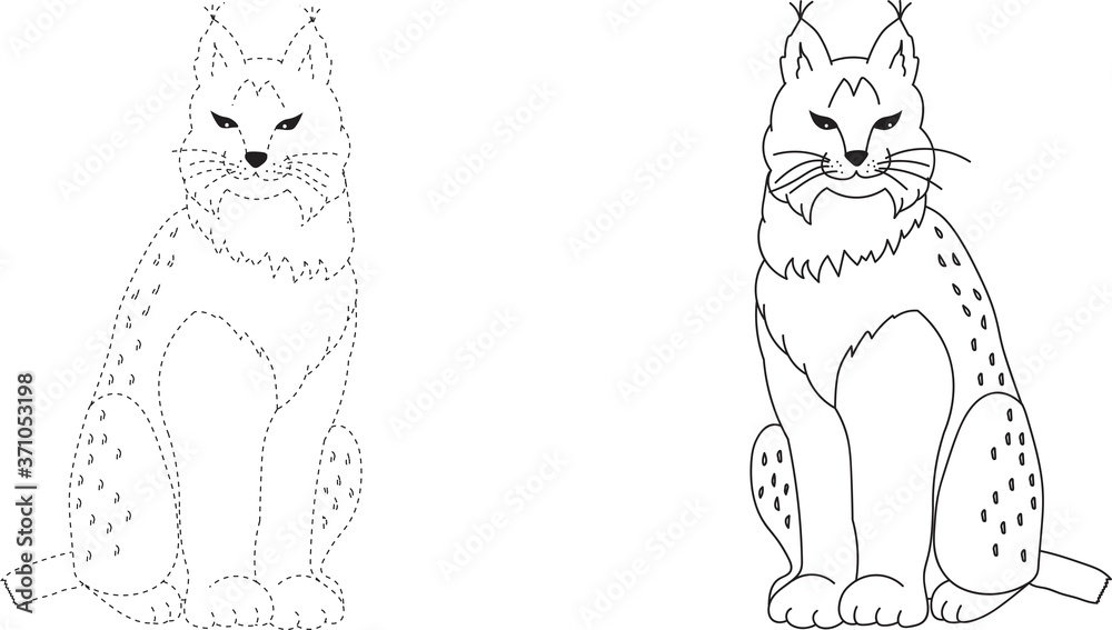 Two outlined silhouettes of a Lynx for coloring Stock Vector | Adobe Stock