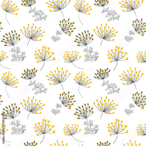 Fennel flowers on white