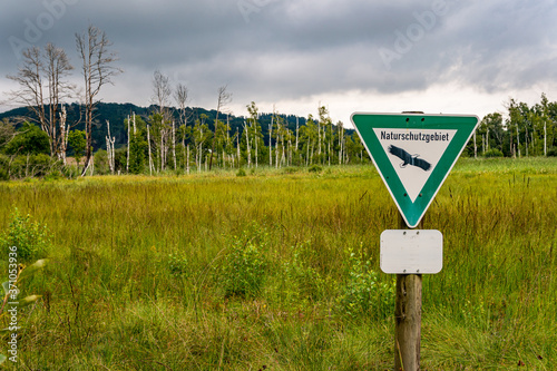 Fotografi Nature reserve Wilhelmsdorf Pfrunger Ried in Upper Swabia