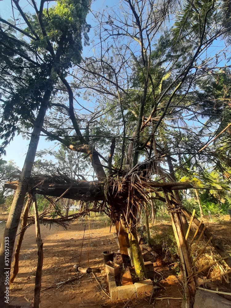 Fototapeta premium House on tree
