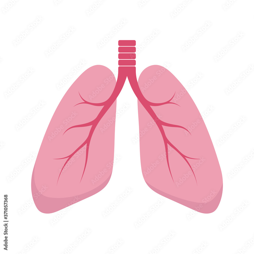 Healthy human lungs. Lungs flat icon. Vector cartoon illustration