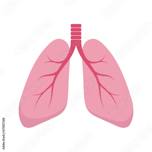 Healthy human lungs. Lungs flat icon. Vector cartoon illustration