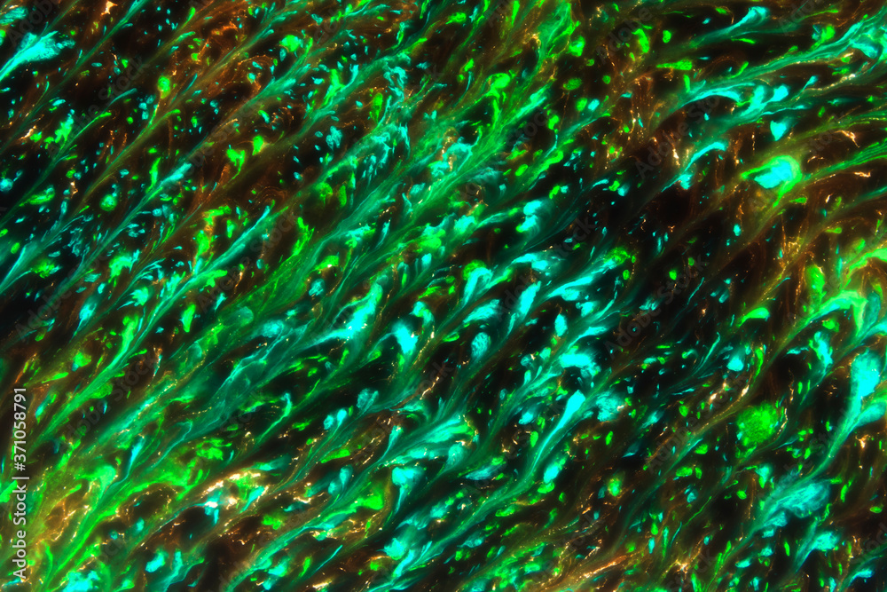 Fototapeta premium Ebru style background with different patterns in high quality