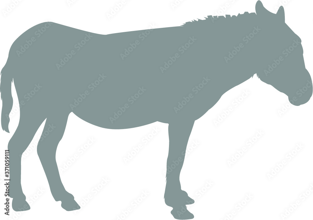 donkey vector illustration donkey vector illustration
