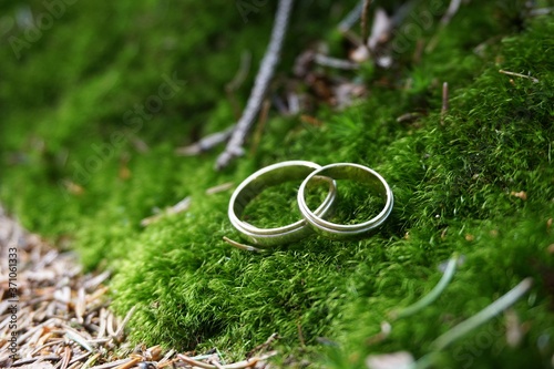 Obrączki ślubne wśród zieleni leśnego mchu
