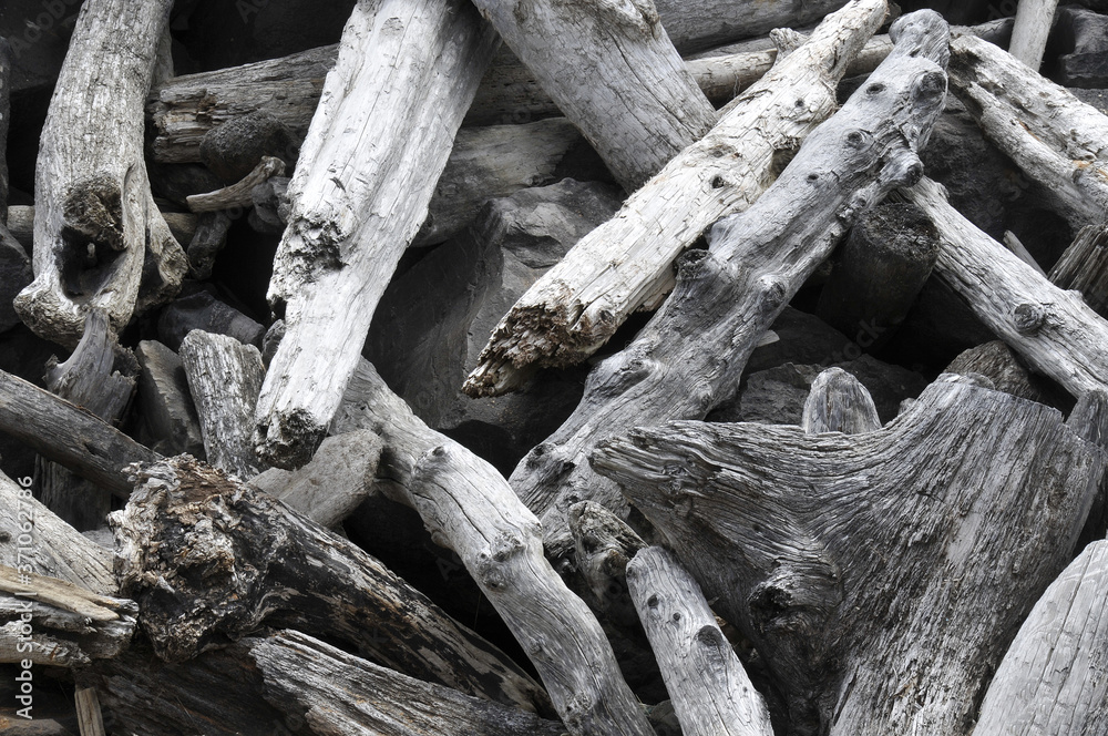 driftwood stacked on the beach