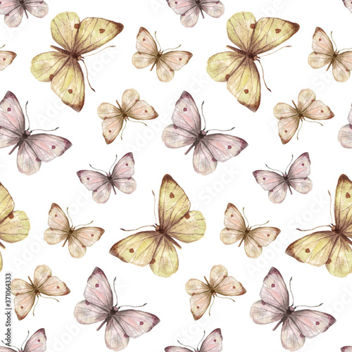 The pattern of watercolor light pink butterflies, hand drawing illustration.The seamless pattern on white background.Botanical illustration © Fefelova Yana