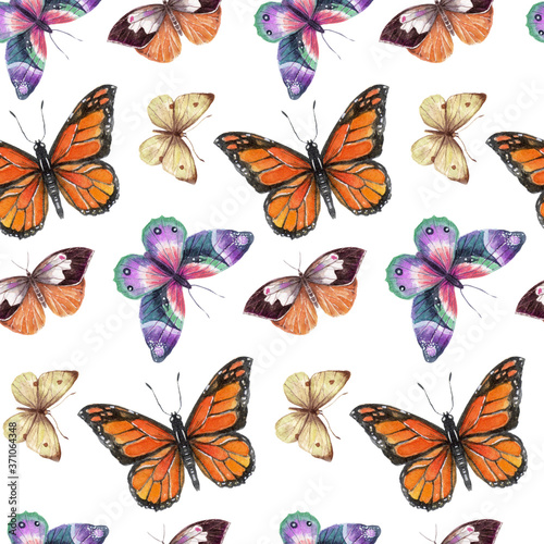 Watercolor butterflies background, hand drawing illustration. The seamless pattern isolated on white background. with orange and violet butterflies. Botanical wallpaper © Fefelova Yana