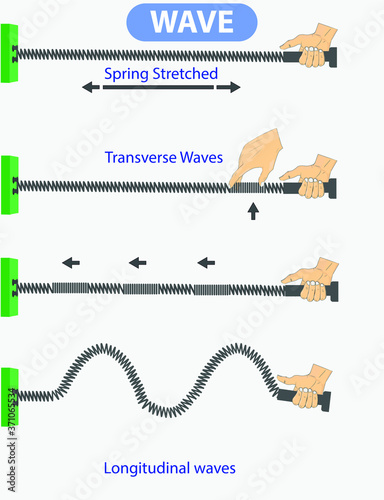 physics. spring stretched. transverse waves. longitudinal. The difference between throwing and periodic wave formation. longitudinal wave generation. periodically generated transverse waves photo