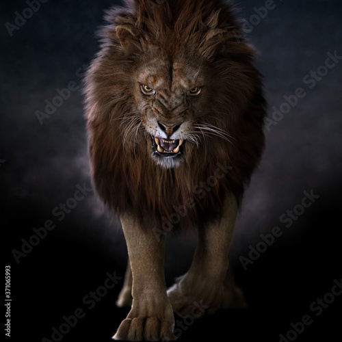 Fototapeta Naklejka Na Ścianę i Meble -  Могущественний лев который не знает страха 