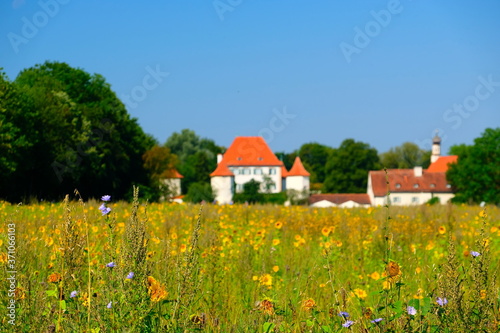 Sun flower field in front of a caslte photo