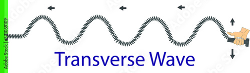 physics. spring stretched. transverse waves. longitudinal. The difference between throwing and periodic wave formation. longitudinal wave generation. periodically generated transverse waves. infograph
