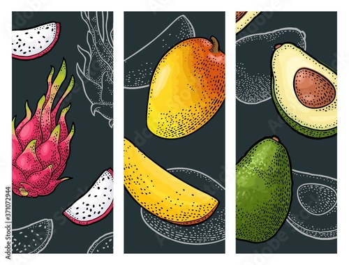 Set tropical fruits. Vector color and monochrome vintage engraving