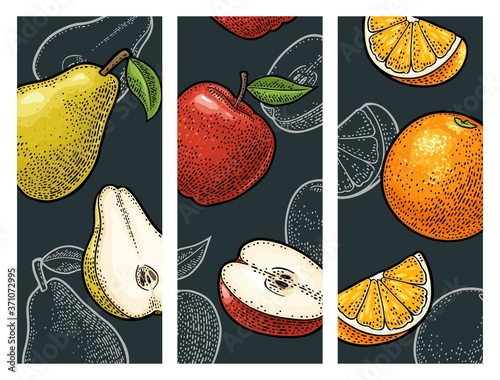 Set tropical fruits. Vector color and monochrome vintage engraving
