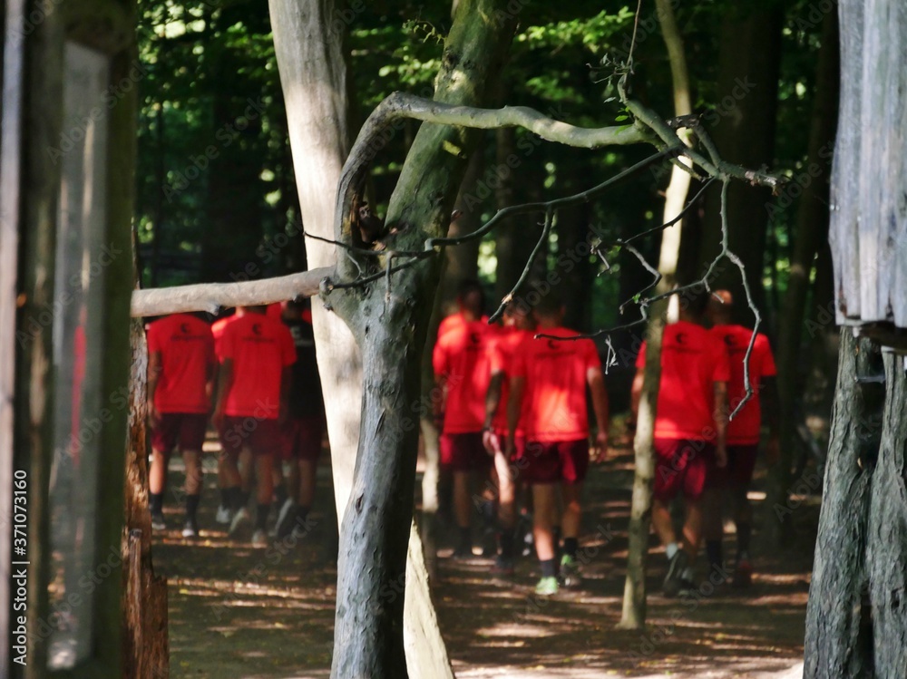 Obraz premium Fußballmannschaft im Wald
