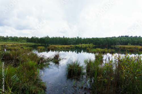 lake in the woods