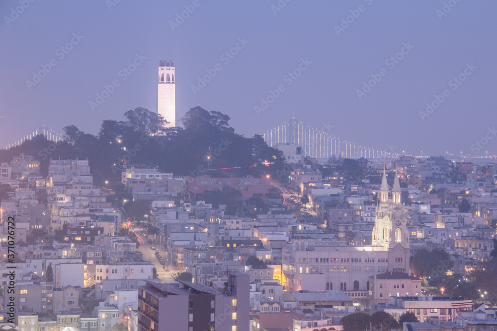Fototapeta premium San Francisco Landmark at Night