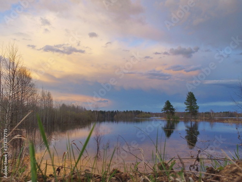 Reflection of pine trees in the water against the background of the sunset  Komi Republic  Russia.