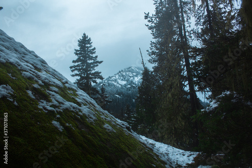 Snow Mountains PNW
