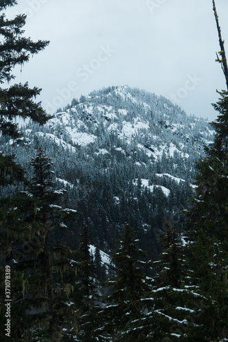 Snow Mountains PNW