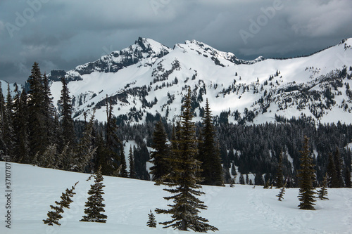Snow Mountains PNW