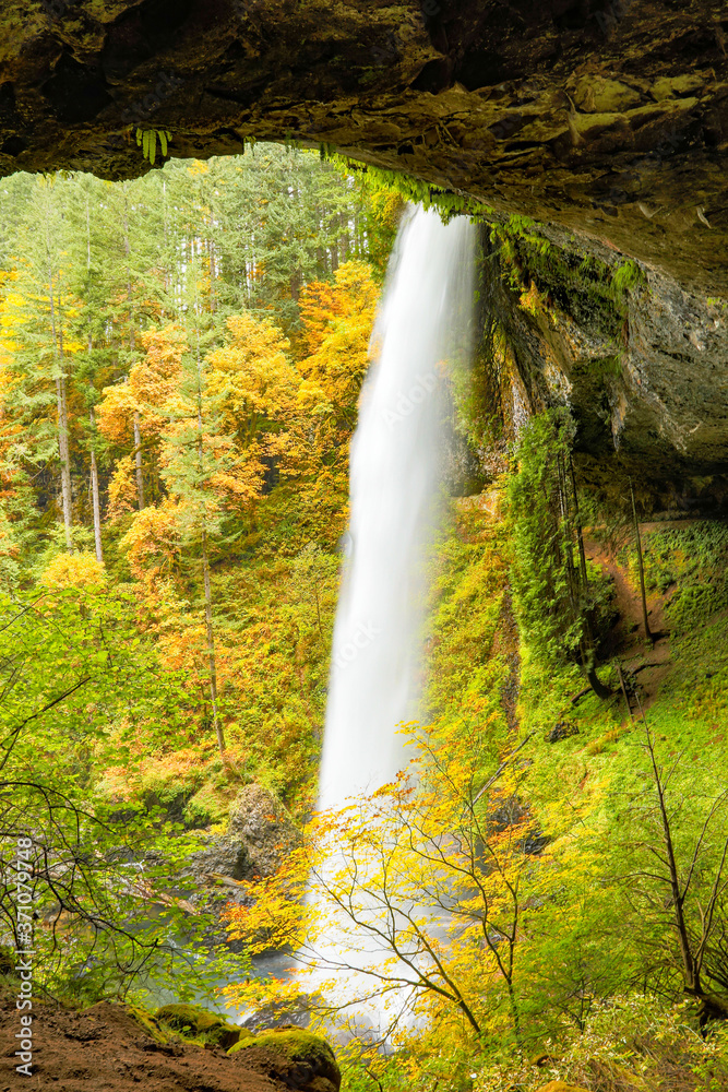 Fototapeta premium Middle north falls at Silver fall state park near Silverton, Oregon.